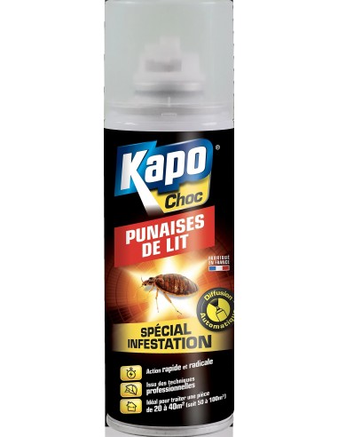 Kapo Aérosol spécial infestation radical punaises de lit 200ml
