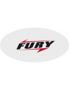 Fury